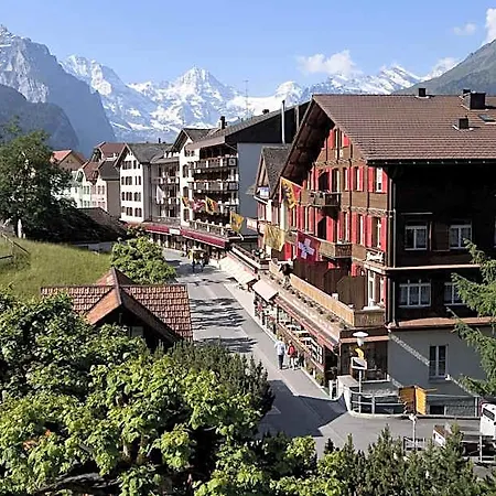 Bernerhof & Отель 3*